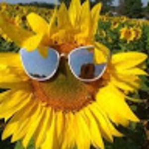 Meet your Posher, Sophia